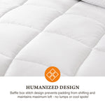 Four Season Universal Down Comforter